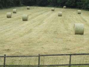 Field over the road with hay
